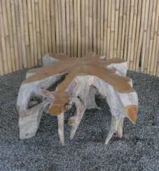 Einzigartiger Couchtisch aus Teakwurzel 